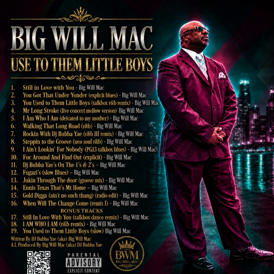 USE TO THEM LITTLE BOYS by Big Will Mac